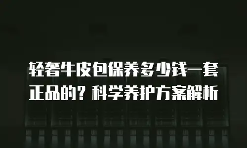 轻奢牛皮包保养多少钱一套正品的？科学养护方案解析