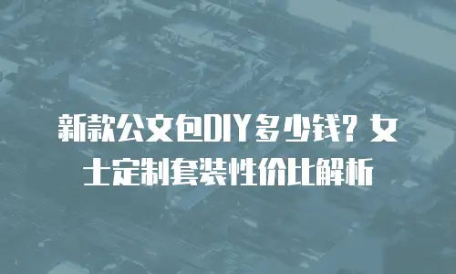 新款公文包DIY多少钱？女士定制套装性价比解析
