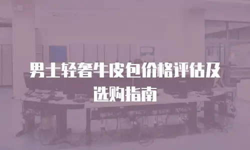 男士轻奢牛皮包价格评估及选购指南