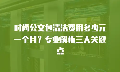 时尚公文包清洁费用多少元一个月？专业解析三大关键点