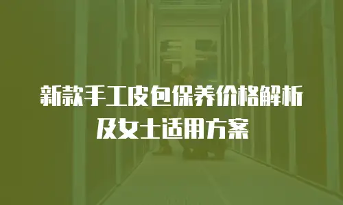 新款手工皮包保养价格解析及女士适用方案