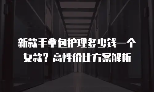 新款手拿包护理多少钱一个女款？高性价比方案解析