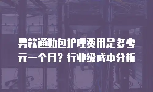 男款通勤包护理费用是多少元一个月？行业级成本分析