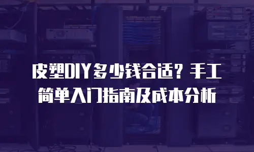 皮塑DIY多少钱合适？手工简单入门指南及成本分析