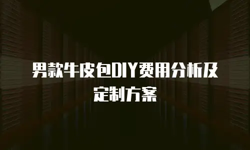 男款牛皮包DIY费用分析及定制方案