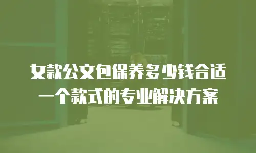 女款公文包保养多少钱合适一个款式的专业解决方案