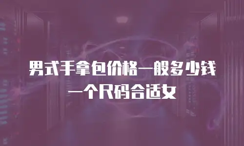 男式手拿包价格一般多少钱一个尺码合适女
