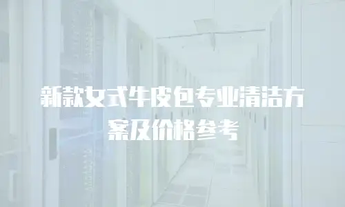 新款女式牛皮包专业清洁方案及价格参考