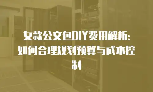 女款公文包DIY费用解析：如何合理规划预算与成本控制