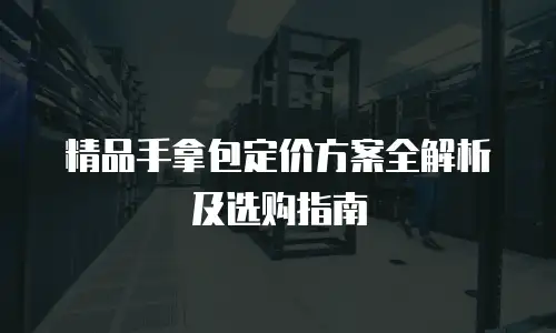精品手拿包定价方案全解析及选购指南