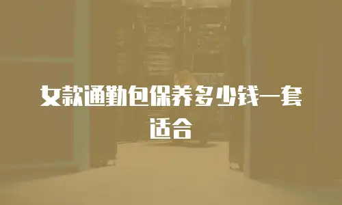 女款通勤包保养多少钱一套适合