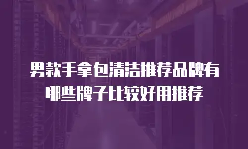男款手拿包清洁推荐品牌有哪些牌子比较好用推荐