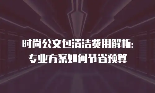 时尚公文包清洁费用解析：专业方案如何节省预算