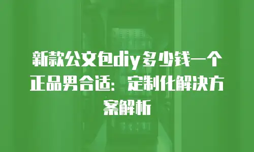 新款公文包diy多少钱一个正品男合适：定制化解决方案解析