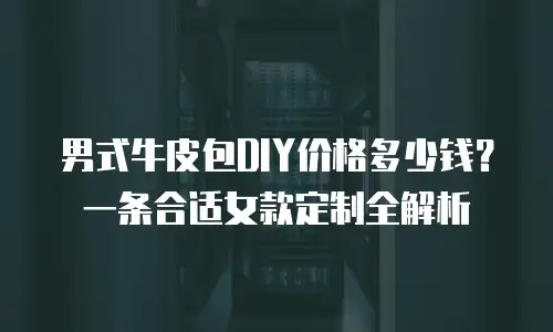 男式牛皮包DIY价格多少钱？一条合适女款定制全解析