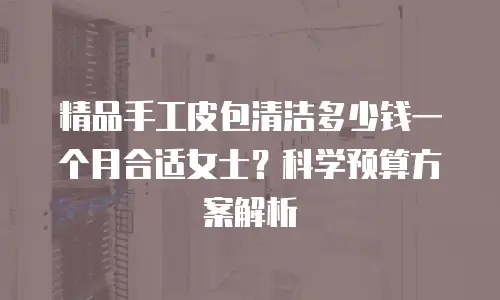 精品手工皮包清洁多少钱一个月合适女士？科学预算方案解析