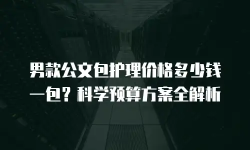 男款公文包护理价格多少钱一包？科学预算方案全解析