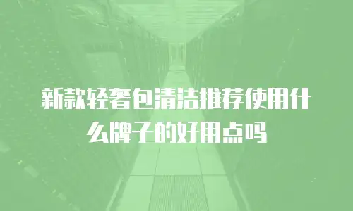 新款轻奢包清洁推荐使用什么牌子的好用点吗
