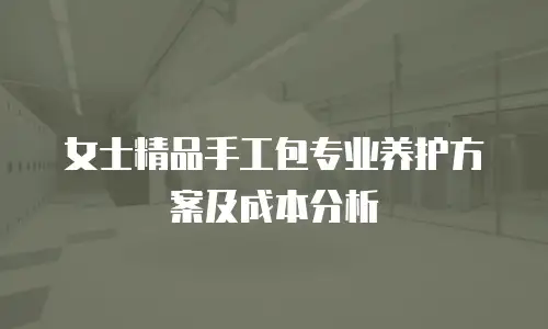 女士精品手工包专业养护方案及成本分析