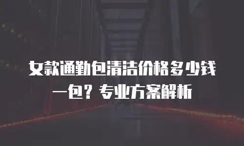女款通勤包清洁价格多少钱一包？专业方案解析