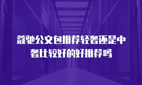 蔻驰公文包推荐轻奢还是中奢比较好的好推荐吗