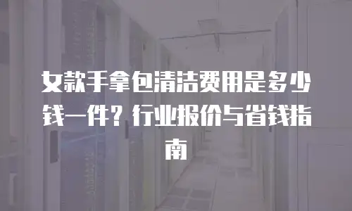 女款手拿包清洁费用是多少钱一件？行业报价与省钱指南
