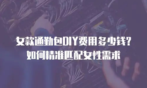 女款通勤包DIY费用多少钱？如何精准匹配女性需求