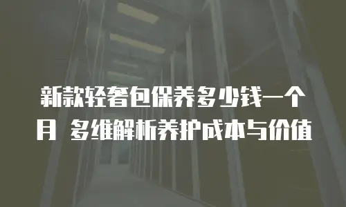 新款轻奢包保养多少钱一个月 多维解析养护成本与价值