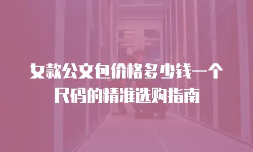 女款公文包价格多少钱一个尺码的精准选购指南