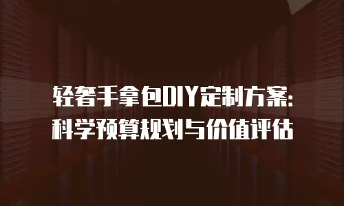 轻奢手拿包DIY定制方案：科学预算规划与价值评估