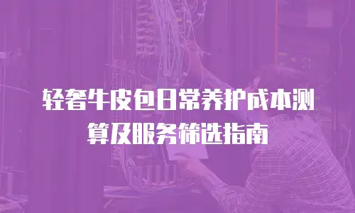 轻奢牛皮包日常养护成本测算及服务筛选指南