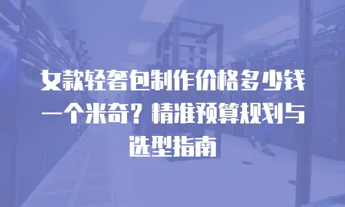 女款轻奢包制作价格多少钱一个米奇？精准预算规划与选型指南