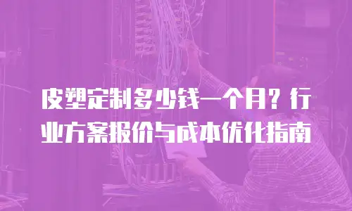 皮塑定制多少钱一个月？行业方案报价与成本优化指南