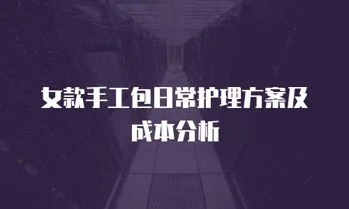 女款手工包日常护理方案及成本分析