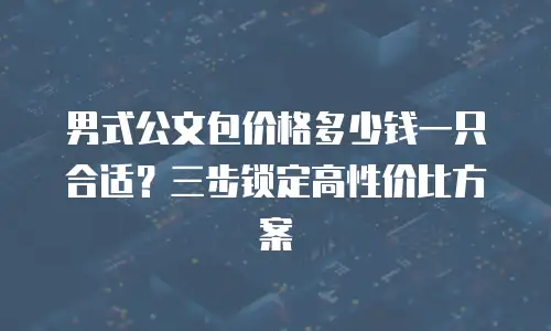 男式公文包价格多少钱一只合适？三步锁定高性价比方案