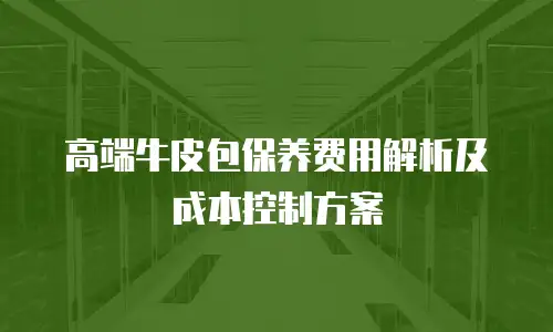 高端牛皮包保养费用解析及成本控制方案