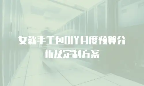 女款手工包DIY月度预算分析及定制方案