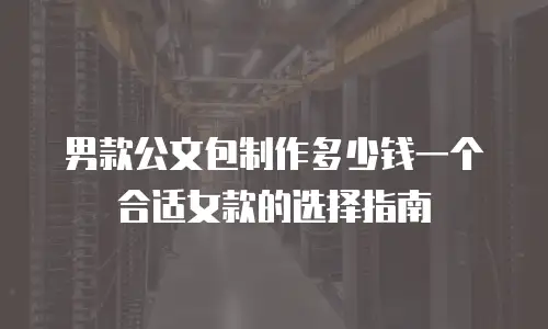 男款公文包制作多少钱一个合适女款的选择指南