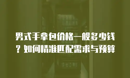 男式手拿包价格一般多少钱？如何精准匹配需求与预算