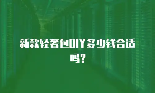 新款轻奢包DIY多少钱合适吗？
