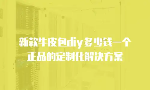 新款牛皮包diy多少钱一个正品的定制化解决方案