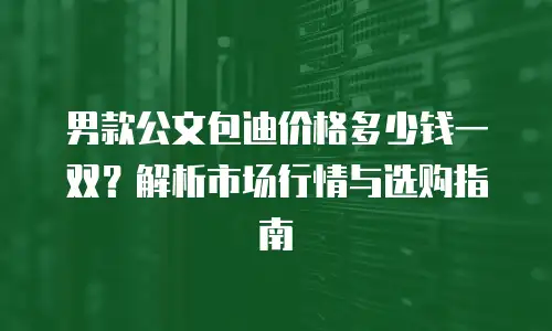 男款公文包迪价格多少钱一双？解析市场行情与选购指南