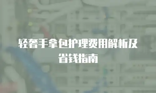 轻奢手拿包护理费用解析及省钱指南