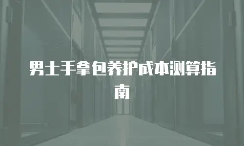 男士手拿包养护成本测算指南