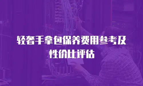 轻奢手拿包保养费用参考及性价比评估
