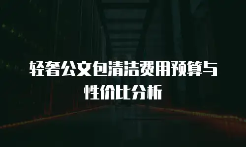 轻奢公文包清洁费用预算与性价比分析