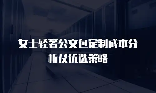女士轻奢公文包定制成本分析及优选策略