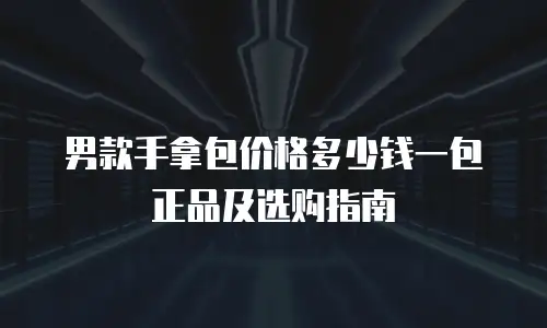 男款手拿包价格多少钱一包正品及选购指南
