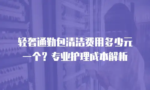 轻奢通勤包清洁费用多少元一个？专业护理成本解析