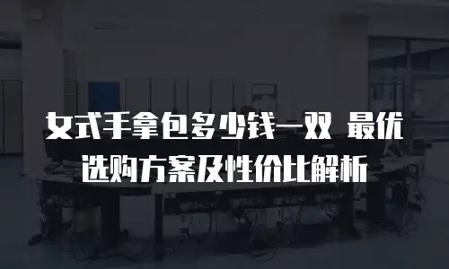 女式手拿包多少钱一双 最优选购方案及性价比解析